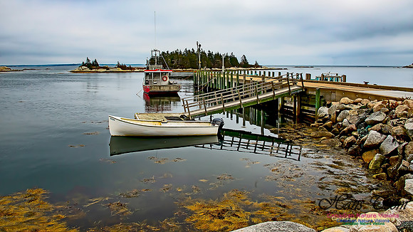 Western Prospect Barrens 102