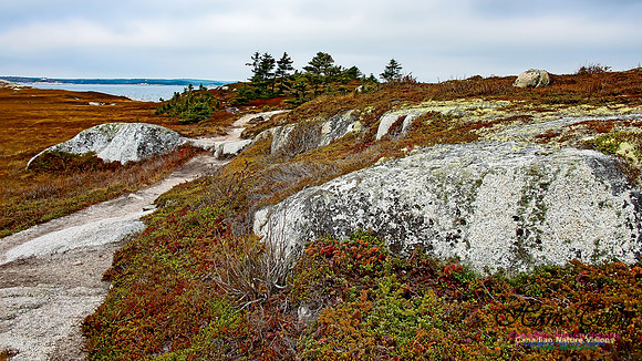 Western Prospect Barrens 103