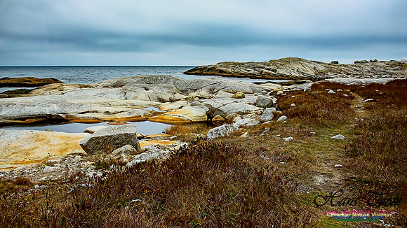 Western Prospect Barrens 104