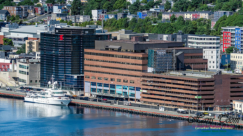 St. John's, Newfoundland 111