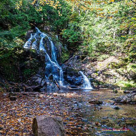 Wentworth Falls Trip 114