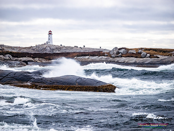 November Gale 1 101