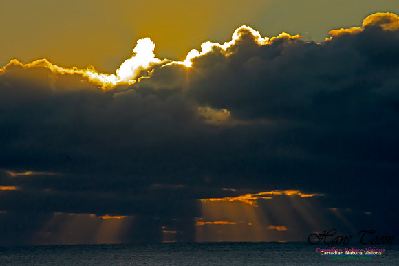 Sunrise 2020-11-19 103