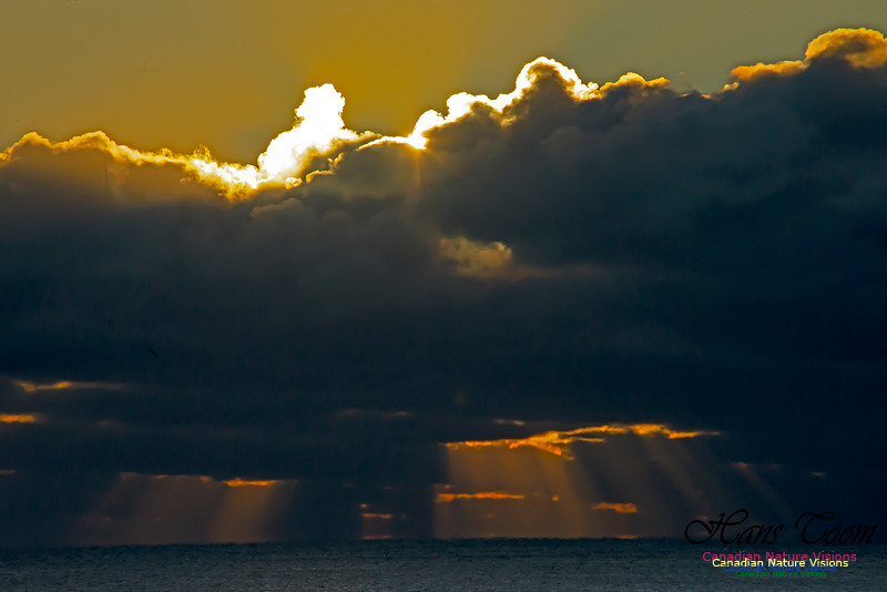 Sunrise 2020-11-19 103
