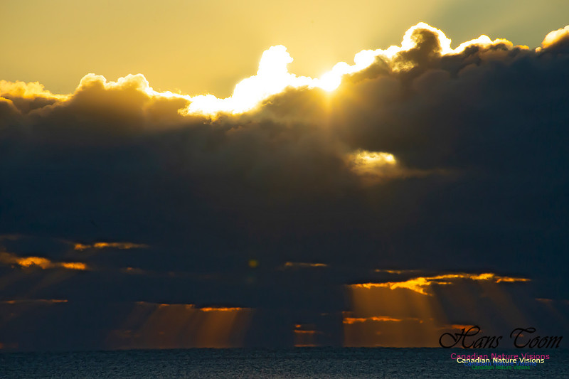 Sunrise 2020-11-19 102