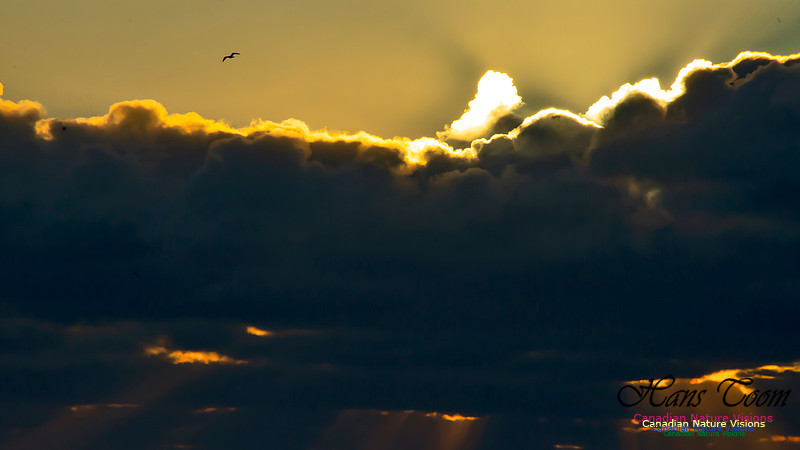 Sunrise 2020-11-19 106