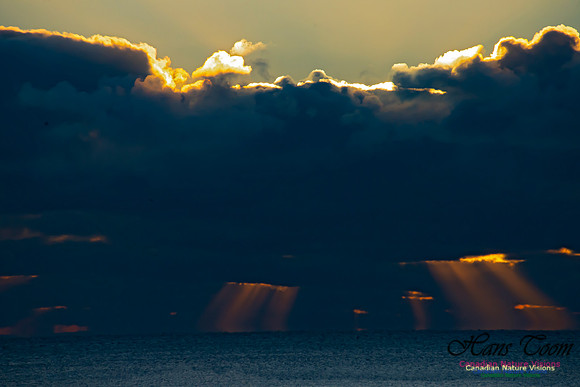 Sunrise 2020-11-19 108