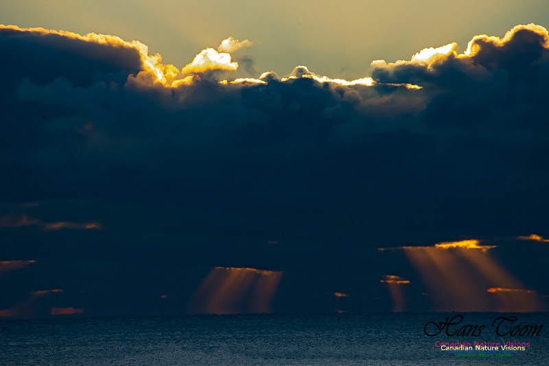 Sunrise 2020-11-19 108
