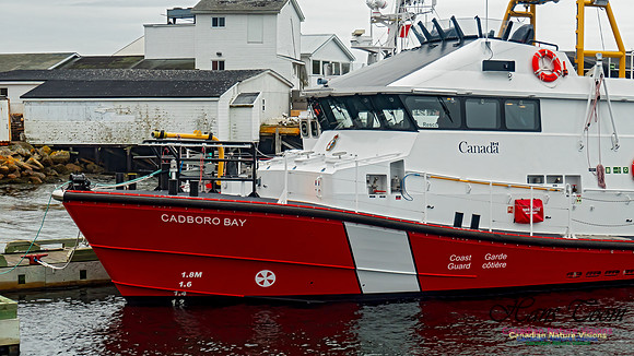 CCGS Cadboro Bay 100