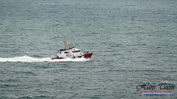 Cadboro Bay 122