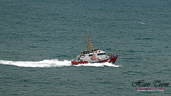 Cadboro Bay 120