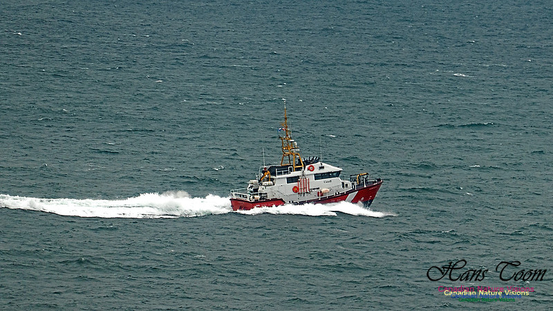 Cadboro Bay 120