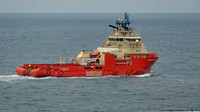 Atlantic Kestrel 100