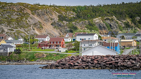 Twillingate 120