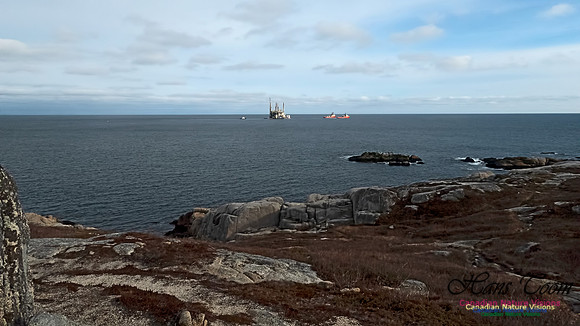 Deep Panuke Under Tow 101