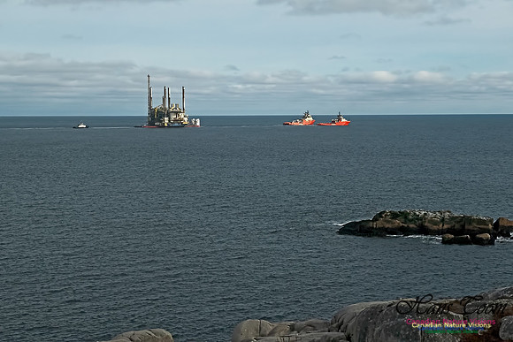 Deep Panuke Under Tow 100