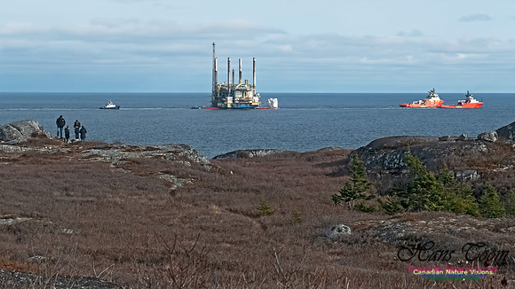 Deep Panuke Under Tow 102