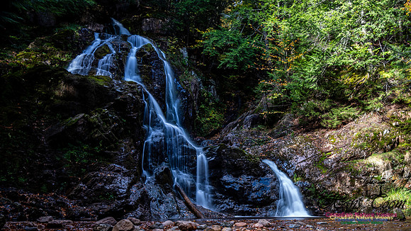 Wentworth Falls Trip 111