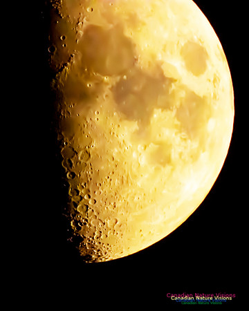 Peggy's Cove Moon 101