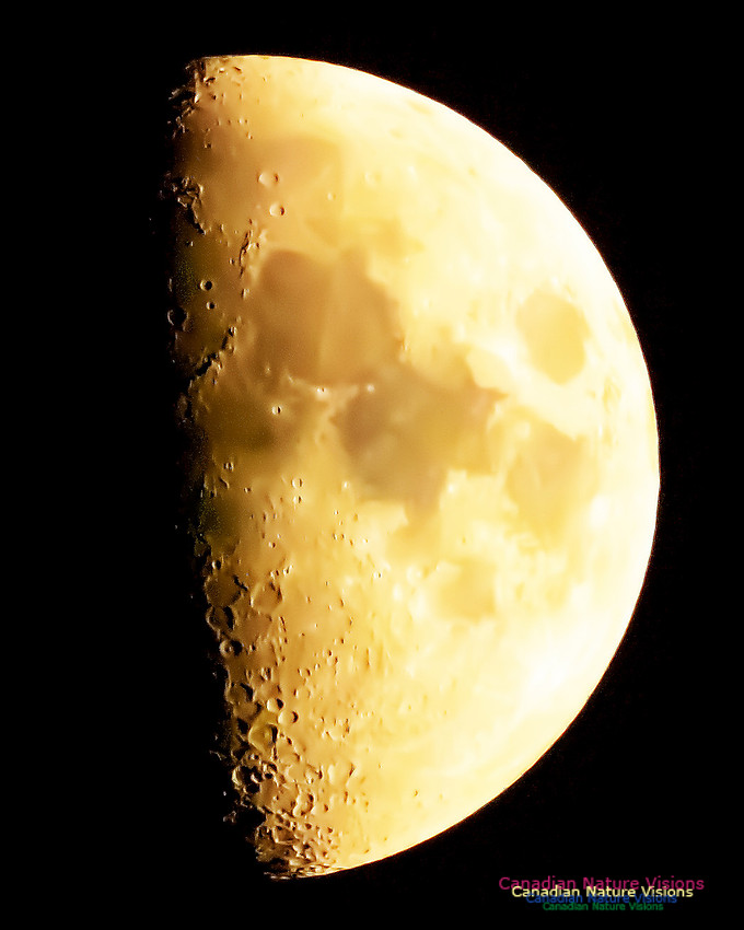Peggy's Cove Moon 102
