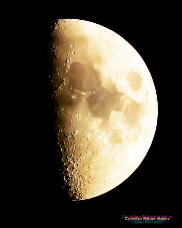Peggy's Cove Moon 103