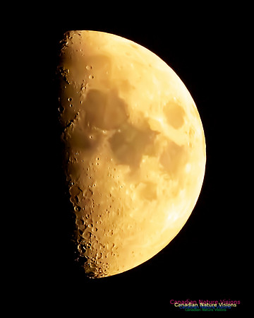 Peggy's Cove Moon 104