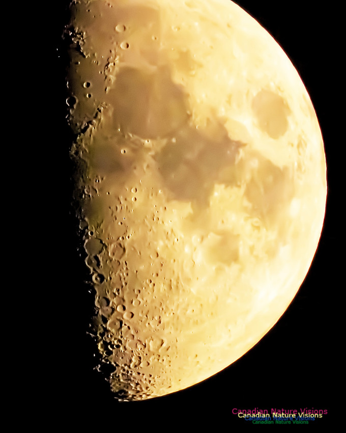 Peggy's Cove Moon 100