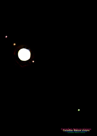 Jupiter and Moons 100