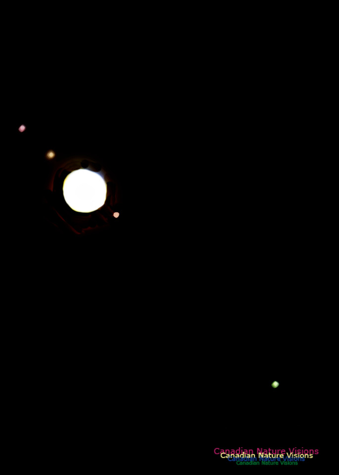 Jupiter and Moons 100
