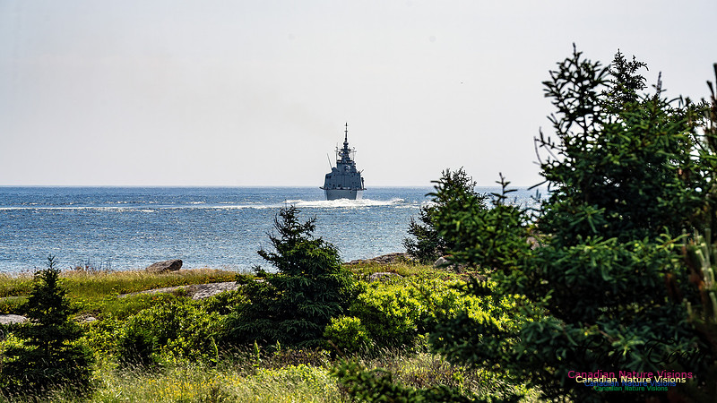 Harbour Traffic 122