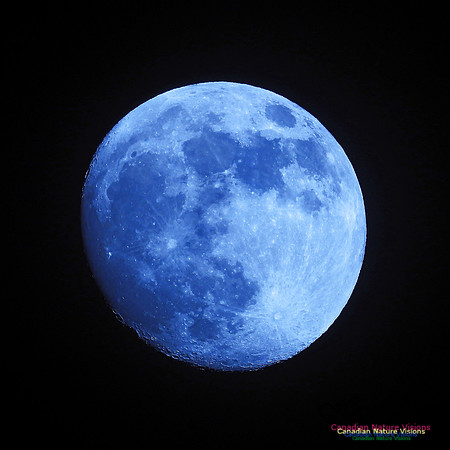 Full Moon(-1D) 2020-12-27 100