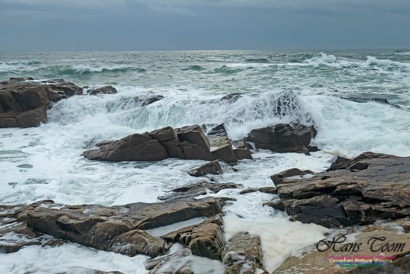 Blustery Morning at the Coastal Barrens 106