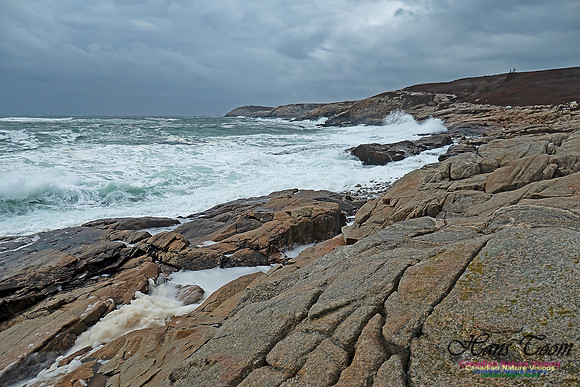 Blustery Morning at the Coastal Barrens 110