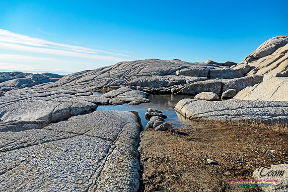 Sunny Morning on the Prospect Barrens 114