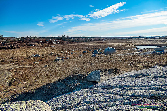 Sunny Morning on the Prospect Barrens 117