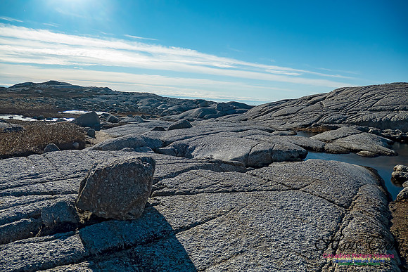 Sunny Morning on the Prospect Barrens 115