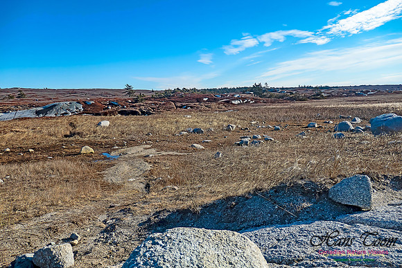 Sunny Morning on the Prospect Barrens 118