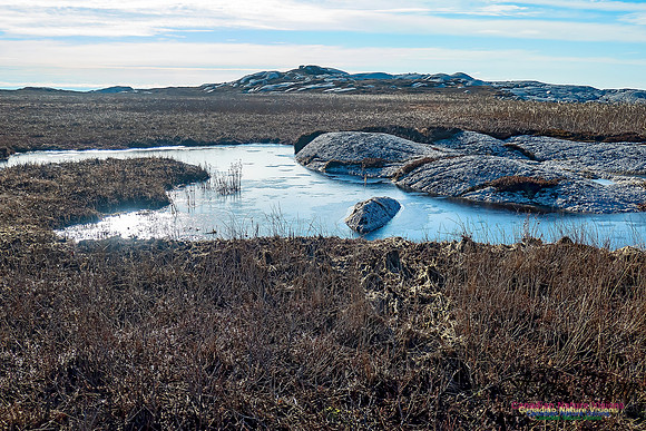 Sunny Morning on the Prospect Barrens 120