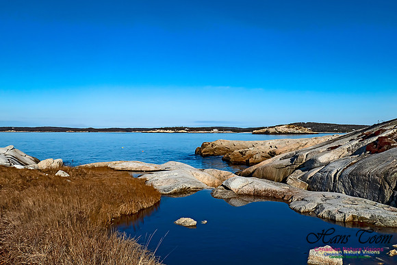 Sunny Morning on the Prospect Barrens 121