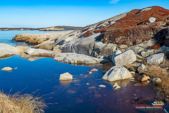 Sunny Morning on the Prospect Barrens 122