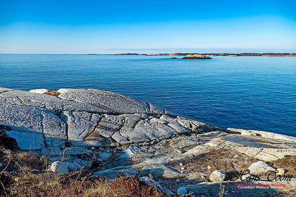 Sunny Morning on the Prospect Barrens 123