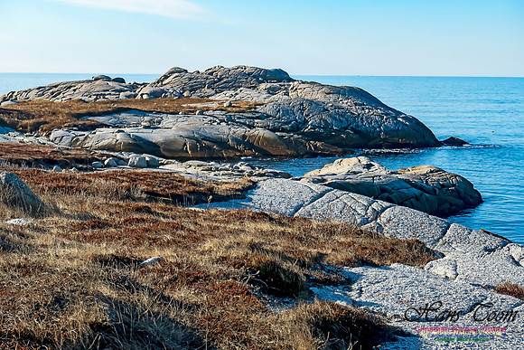 Sunny Morning on the Prospect Barrens 125
