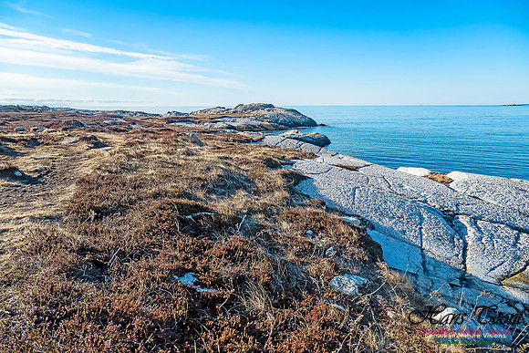 Sunny Morning on the Prospect Barrens 126