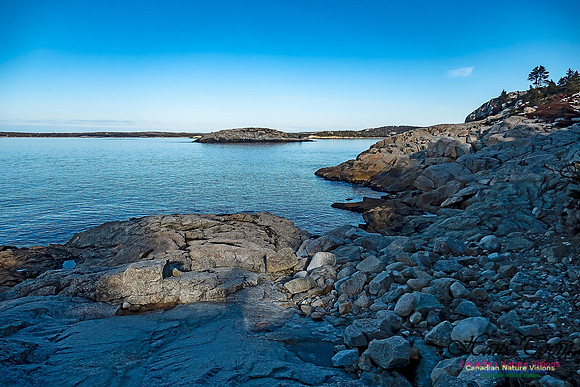 Sunny Morning on the Prospect Barrens 127