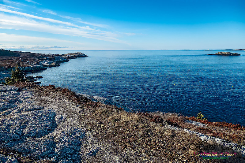 Sunny Morning on the Prospect Barrens 128