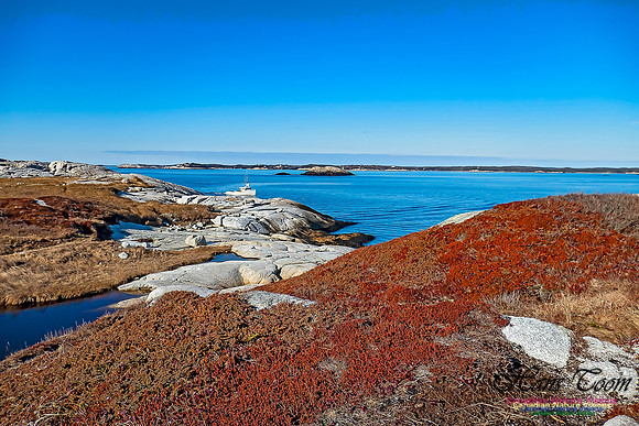 Sunny Morning on the Prospect Barrens 101