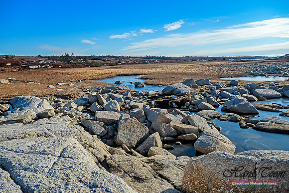 Sunny Morning on the Prospect Barrens 102