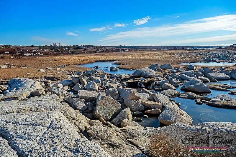 Sunny Morning on the Prospect Barrens 102