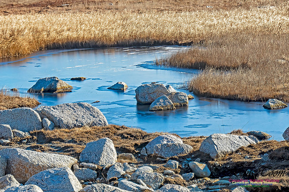 Sunny Morning on the Prospect Barrens 105