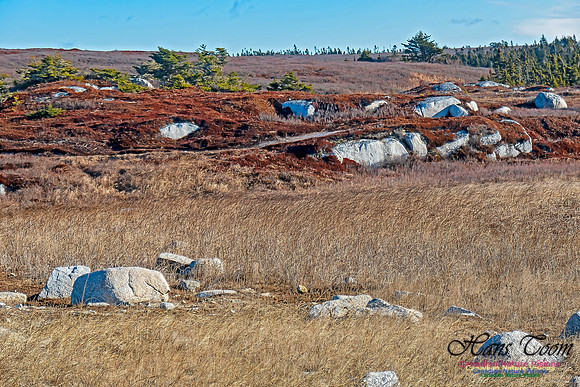 Sunny Morning on the Prospect Barrens 106